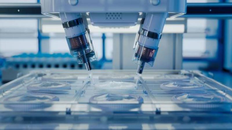 Empresa de impressão 3D transforma ideias em realidade com essa tecnologia Empresa de impressão 3D transforma ideias em realidade com essa tecnologia